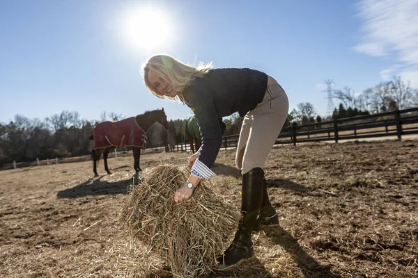 Een Mooie Blonde Paard Trainer Heeft Neiging Haar Paarden Een — Stockfoto