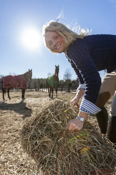 Trener Pięknego Konia Blondynka Tendencję Jej Konie Farmie — Zdjęcie stockowe