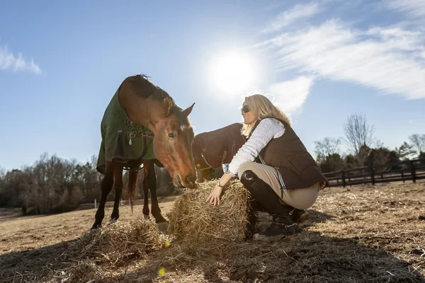 Trener Pięknego Konia Blondynka Tendencję Jej Konie Farmie — Zdjęcie stockowe