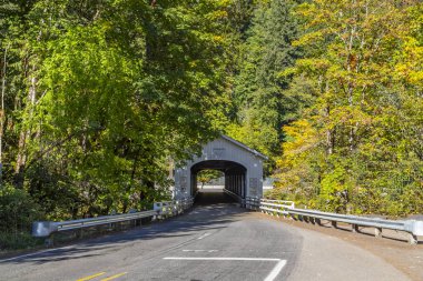 Goodpasture köprü Mckenzie nehir kenarında Vida içinde Lane County, Oregon, Amerika Birleşik Devletleri topluluğu yayılmıştır. İkinci en uzun kapalı köprü ve devlet en çok fotoğrafı çekilen köprüleriyle biri. Goodpasture köprü listelenen 