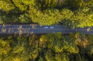 Oregon kıyı şeridi Genel açık sayısı