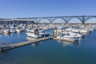 Oregon kıyılarında bir Marina genel görünümü