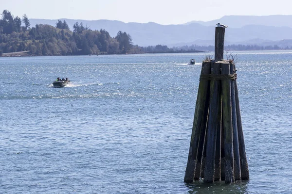 Marina Wybrzeżu Oregonu Ogólny Widok — Zdjęcie stockowe