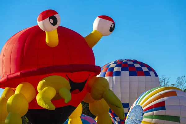 Fans Genießen Einen Ballonstart Bei Einem Lokalen Festival — Stockfoto