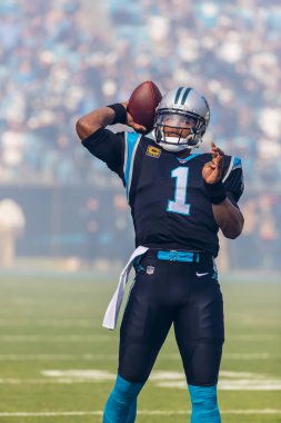 Charlotte, Nc Amerika banka stadyum ana bilgisayara ziyaret Seattle Seahawks Carolina Panthers oynamak gibi 25 Kasım 2018 - Cam Newton (1) pas atar. Panthers Seahawks, 30-27 kaybetmek.  