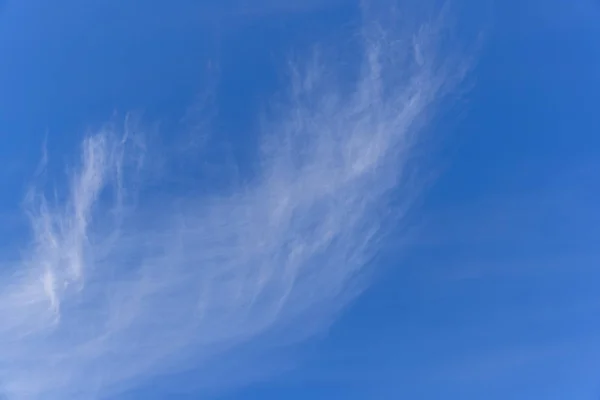 Caída Hojas Contra Cielo Azul Nublado — Foto de Stock