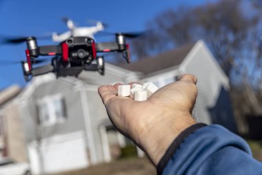 Bir grup erkek arı sinek mavi gökyüzü karşı havada