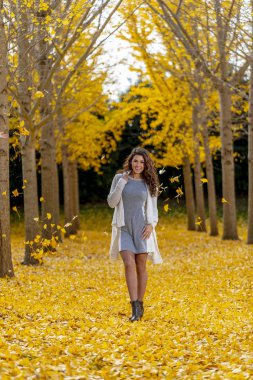 Bir sonbahar günü sarı sonbahar yaprakları ile zevk güzel esmer manken
