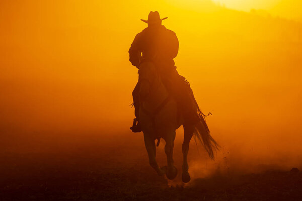 A Mexican Charro rounds up a herd of horses running through a field on a Mexican Ranch at sunrise