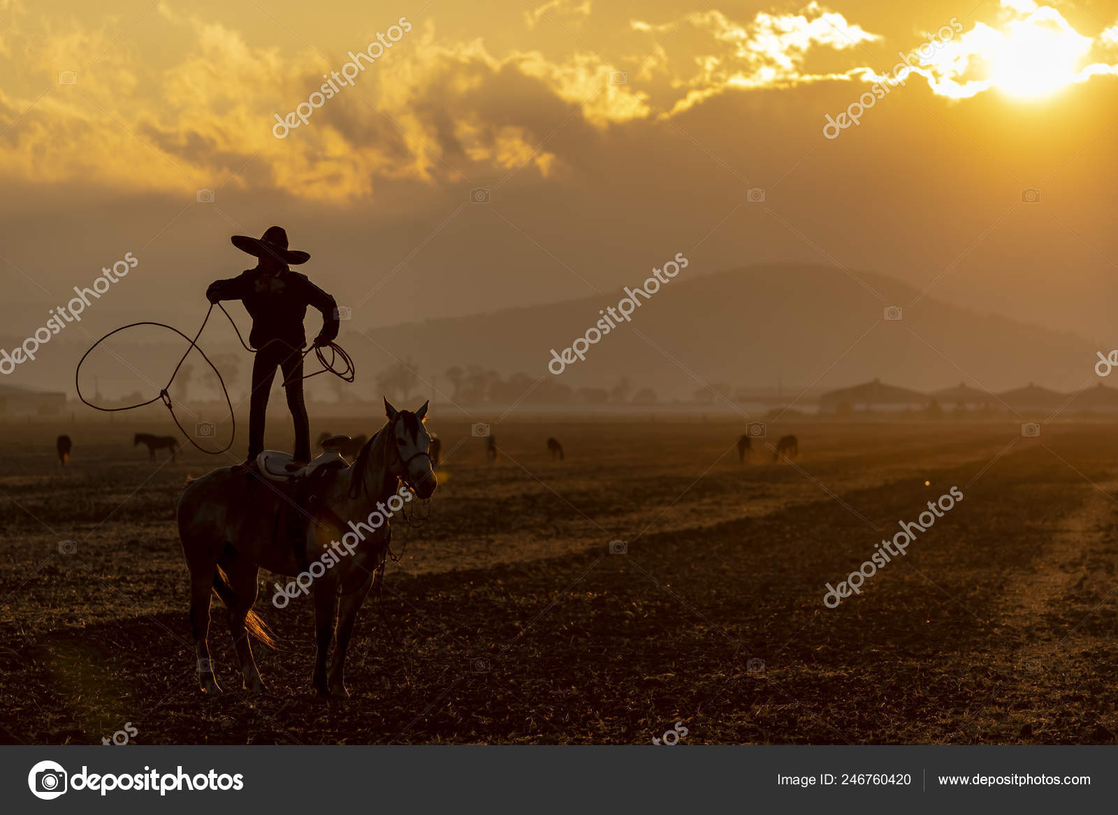 Young Mexican Charro Rounds Herd Horses Running Field Mexican Ranch Stock Photo by ©actionsports
