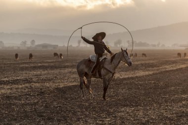 Genç bir Meksikalı Charro kaçarken bir alanda Meksikalı bir çiftlikte güneş doğarken at sürüsü kadar yuvarlar