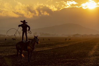 Genç bir Meksikalı Charro kaçarken bir alanda Meksikalı bir çiftlikte güneş doğarken at sürüsü kadar yuvarlar