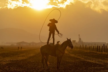 Genç bir Meksikalı Charro kaçarken bir alanda Meksikalı bir çiftlikte güneş doğarken at sürüsü kadar yuvarlar