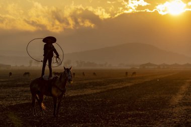Genç bir Meksikalı Charro kaçarken bir alanda Meksikalı bir çiftlikte güneş doğarken at sürüsü kadar yuvarlar