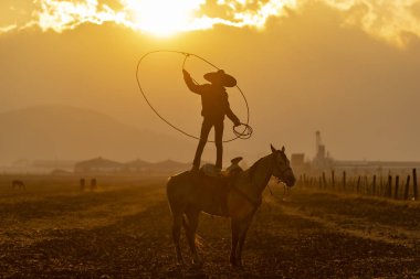Genç bir Meksikalı Charro kaçarken bir alanda Meksikalı bir çiftlikte güneş doğarken at sürüsü kadar yuvarlar