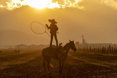 Genç bir Meksikalı Charro kaçarken bir alanda Meksikalı bir çiftlikte güneş doğarken at sürüsü kadar yuvarlar