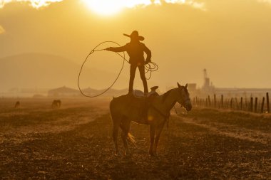Genç bir Meksikalı Charro kaçarken bir alanda Meksikalı bir çiftlikte güneş doğarken at sürüsü kadar yuvarlar