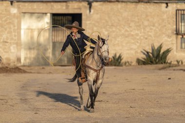 Genç bir Meksikalı Charro kaçarken bir alanda Meksikalı bir çiftlikte güneş doğarken at sürüsü kadar yuvarlar