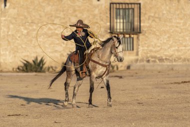 Genç bir Meksikalı Charro kaçarken bir alanda Meksikalı bir çiftlikte güneş doğarken at sürüsü kadar yuvarlar