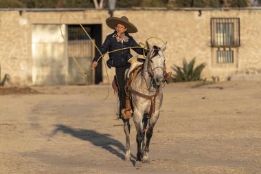 Genç bir Meksikalı Charro kaçarken bir alanda Meksikalı bir çiftlikte güneş doğarken at sürüsü kadar yuvarlar