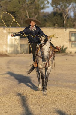 Genç bir Meksikalı Charro kaçarken bir alanda Meksikalı bir çiftlikte güneş doğarken at sürüsü kadar yuvarlar