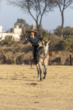 Genç bir Meksikalı Charro kaçarken bir alanda Meksikalı bir çiftlikte güneş doğarken at sürüsü kadar yuvarlar