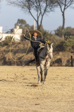 Genç bir Meksikalı Charro kaçarken bir alanda Meksikalı bir çiftlikte güneş doğarken at sürüsü kadar yuvarlar