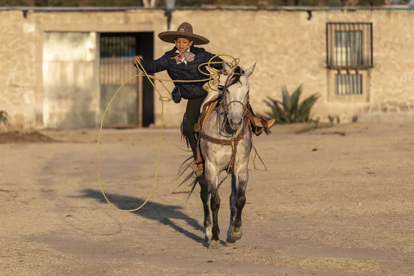 Jeune Mexicain Charro Rassemble Troupeau Chevaux Courant Travers Champ Dans — Photo