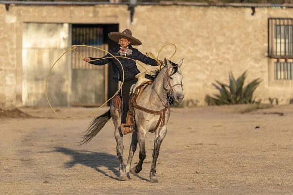 日出时 一群年轻的墨西哥夏罗骑着马在墨西哥牧场上的田野里奔跑 — 图库照片