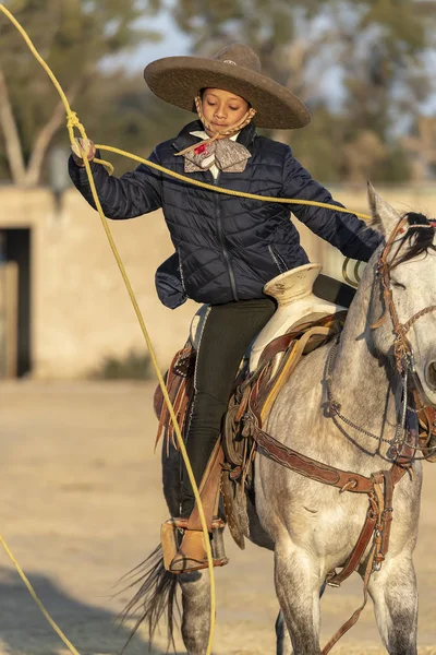 Jeune Mexicain Charro Rassemble Troupeau Chevaux Courant Travers Champ Dans — Photo