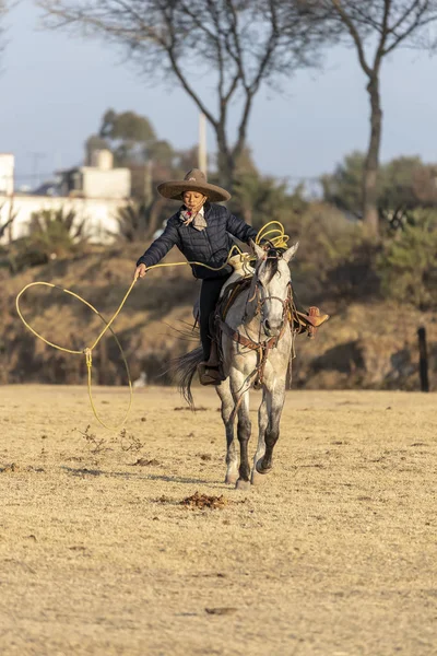 若いメキシコ Charro 日の出メキシコ牧場でフィールドを介して実行されている馬の群れを丸めます — ストック写真