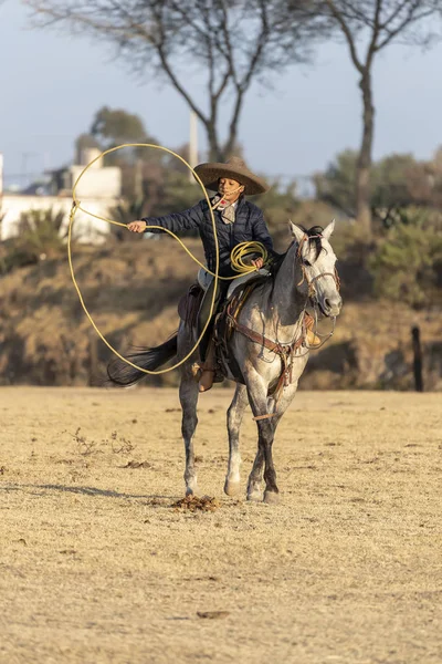 日出时 一群年轻的墨西哥夏罗骑着马在墨西哥牧场上的田野里奔跑 — 图库照片