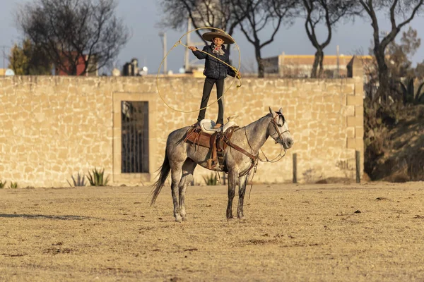 若いメキシコ Charro 日の出メキシコ牧場でフィールドを介して実行されている馬の群れを丸めます — ストック写真