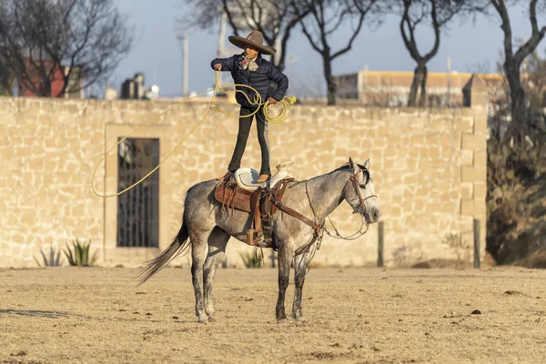 若いメキシコ Charro 日の出メキシコ牧場でフィールドを介して実行されている馬の群れを丸めます — ストック写真