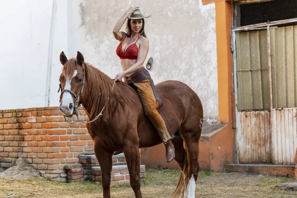 一个美丽的西班牙裔褐发女郎模型骑在墨西哥 f 上的马 — 图库照片