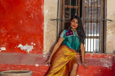 Güzel İspanyol ve Latin esmer manken açık havada Meksikalı bir çiftlikte teşkil etmektedir.