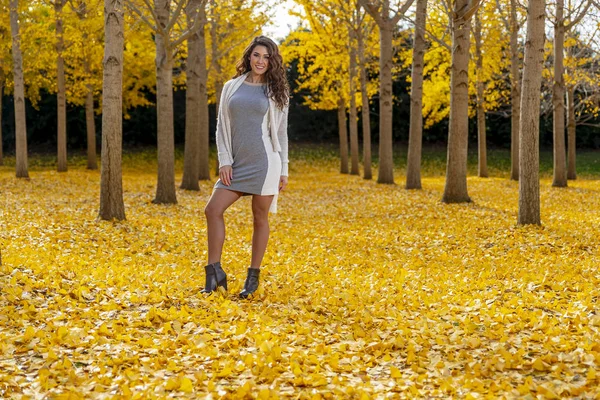 布鲁内特模型在秋天的落叶 — 图库照片