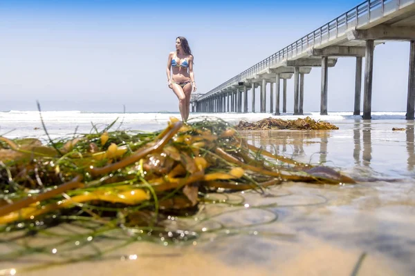 Preciosa morena modelo de bikini posando al aire libre en una playa —  Fotos de Stock