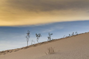 Issız bir Amerikan Çölünün Manzarası