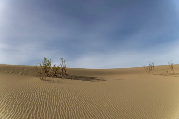 Scenic View Of A Desolate Arid Amerikaanse woestijn — Stockfoto