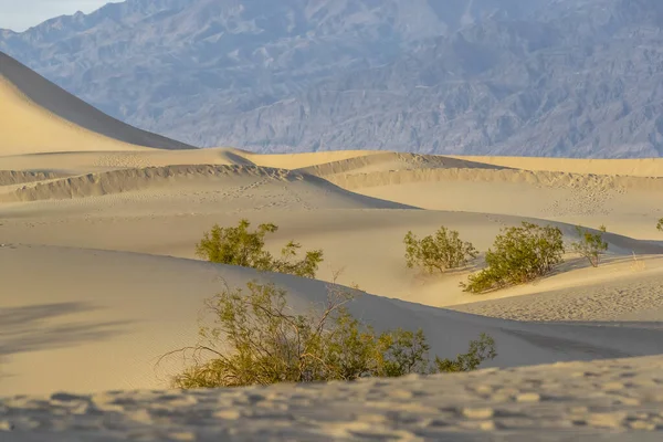 Scenic View Of A Desolate Arid American Desert — Stock Photo, Image