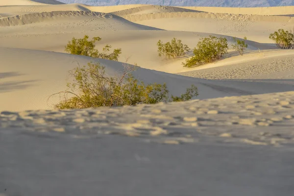 Vista panoramica di un deserto americano arido Desolato — Foto Stock