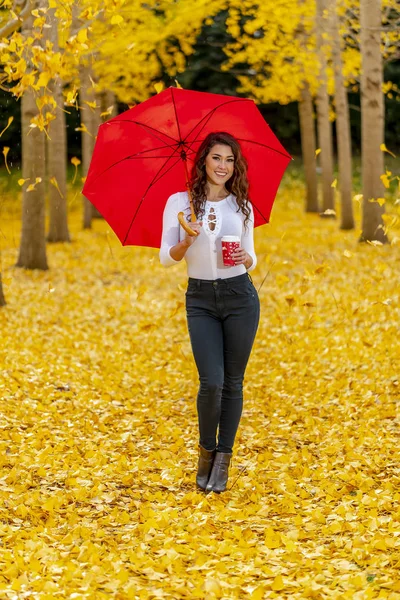 Morena modelo en otoño follaje — Foto de Stock