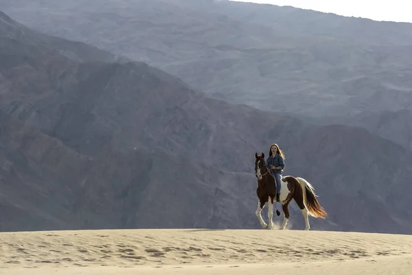 Piękna modelka Brunetki spaceruje swoim koniem po pustyni w letni dzień — Zdjęcie stockowe