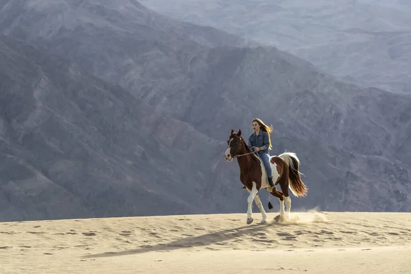 Una bella modella bruna cammina il suo cavallo attraverso il deserto in un giorno d'estate — Foto Stock