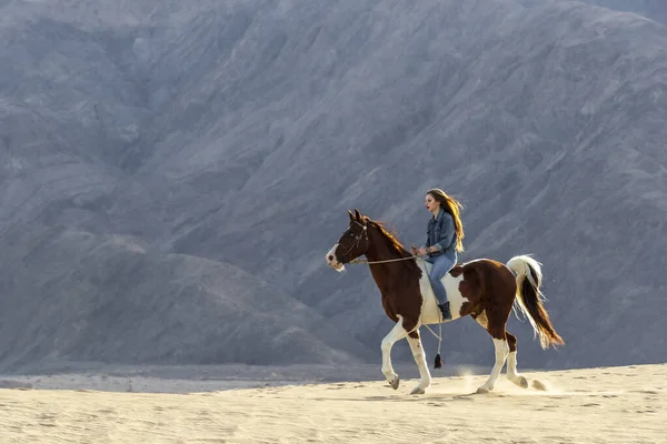 夏の日に砂漠を馬で歩く素敵なブルネットモデル — ストック写真