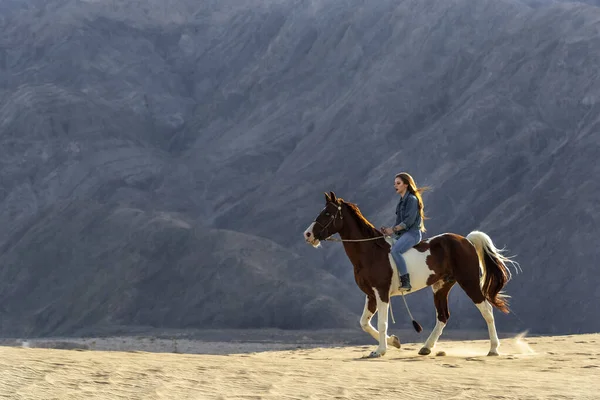 Una bella modella bruna cammina il suo cavallo attraverso il deserto in un giorno d'estate — Foto Stock