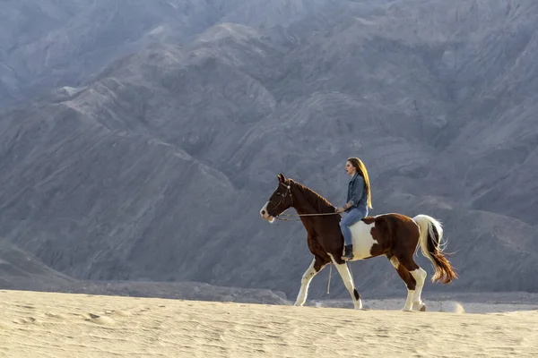 Une belle mannequin brune promène son cheval dans le désert un jour d'été — Photo