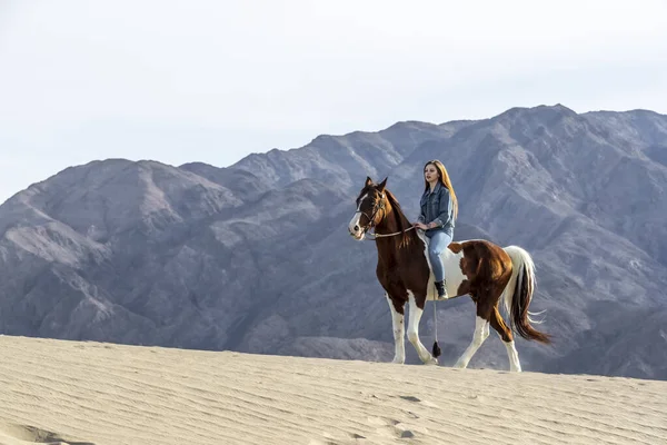 Piękna modelka Brunetki spaceruje swoim koniem po pustyni w letni dzień — Zdjęcie stockowe