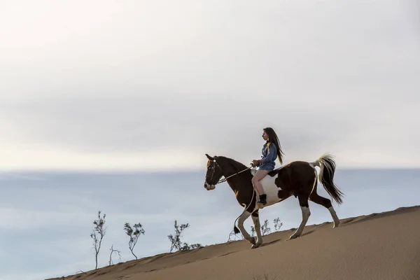 Um modelo morena linda caminha seu cavalo através do deserto em um dia de verão — Fotografia de Stock